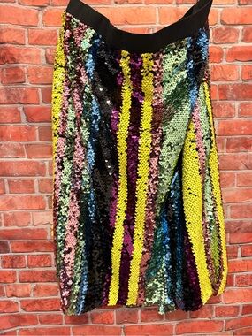 DAVI & DANI Multicolor Sequin Stripe Skirt